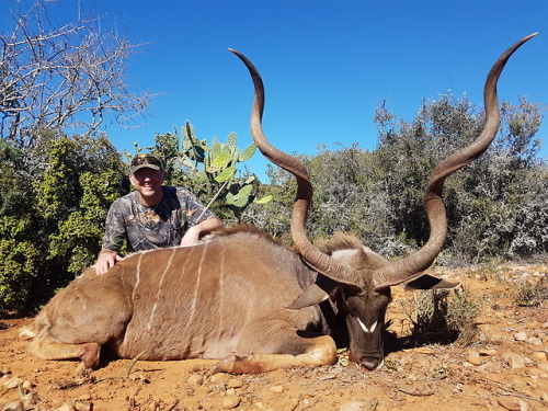 Kudu Hunting at its best